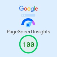 PageSpeed 100 %